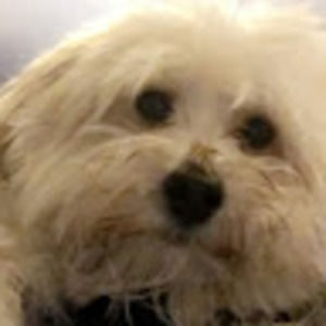 Meet your Posher, Erika